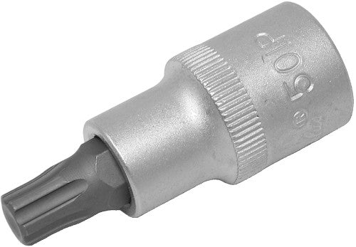 CTA Tools 3036 1/2" Sq. Drive TP50 Torx Plus Bit Socket for Ford, GM & Dodge Truck Bed Bolts - MPR Tools & Equipment