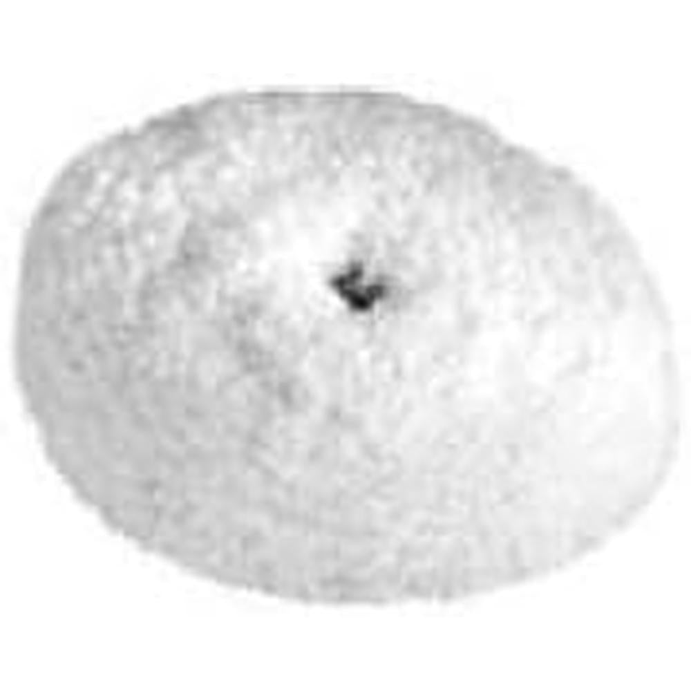 Chicago Pneumatic CA158109 PAD-POLISHING 3.5" H