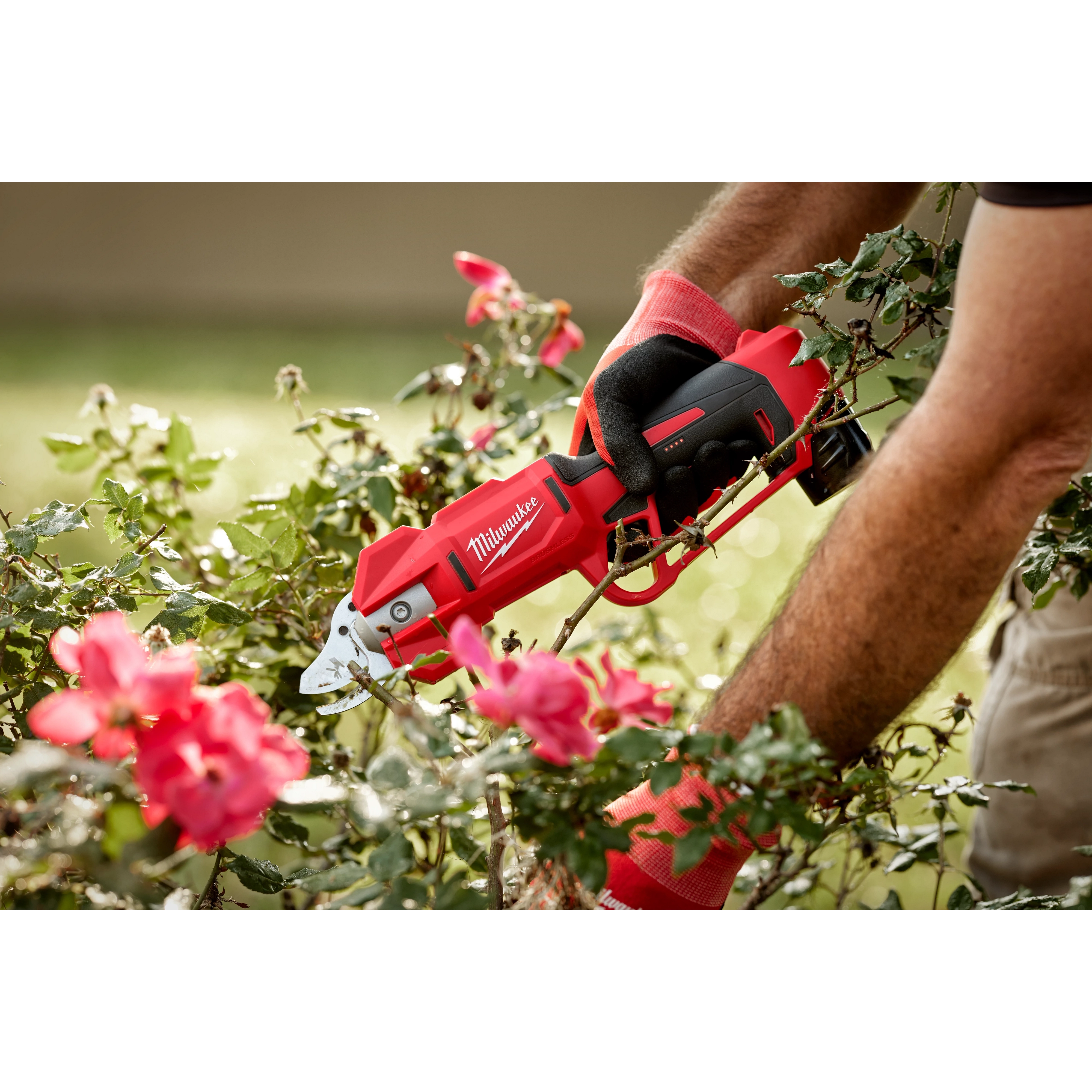 Milwaukee Tool 2534-20 M12 Brushless Pruning Shears detail view of blade