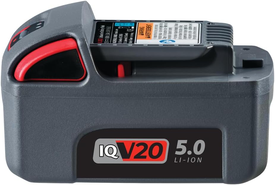 Ingersoll Rand BL2022 Batterie lithium-ion 20 V 5,0 A pour outils électriques sans fil