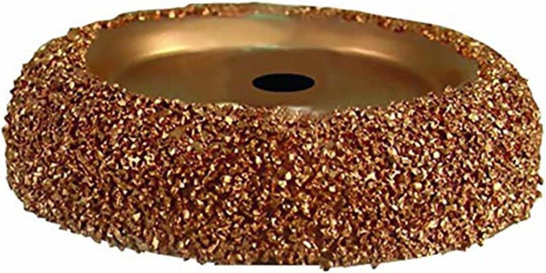 Astro Pneumatic 235RASP Roue de polissage 2,5" (RASP)