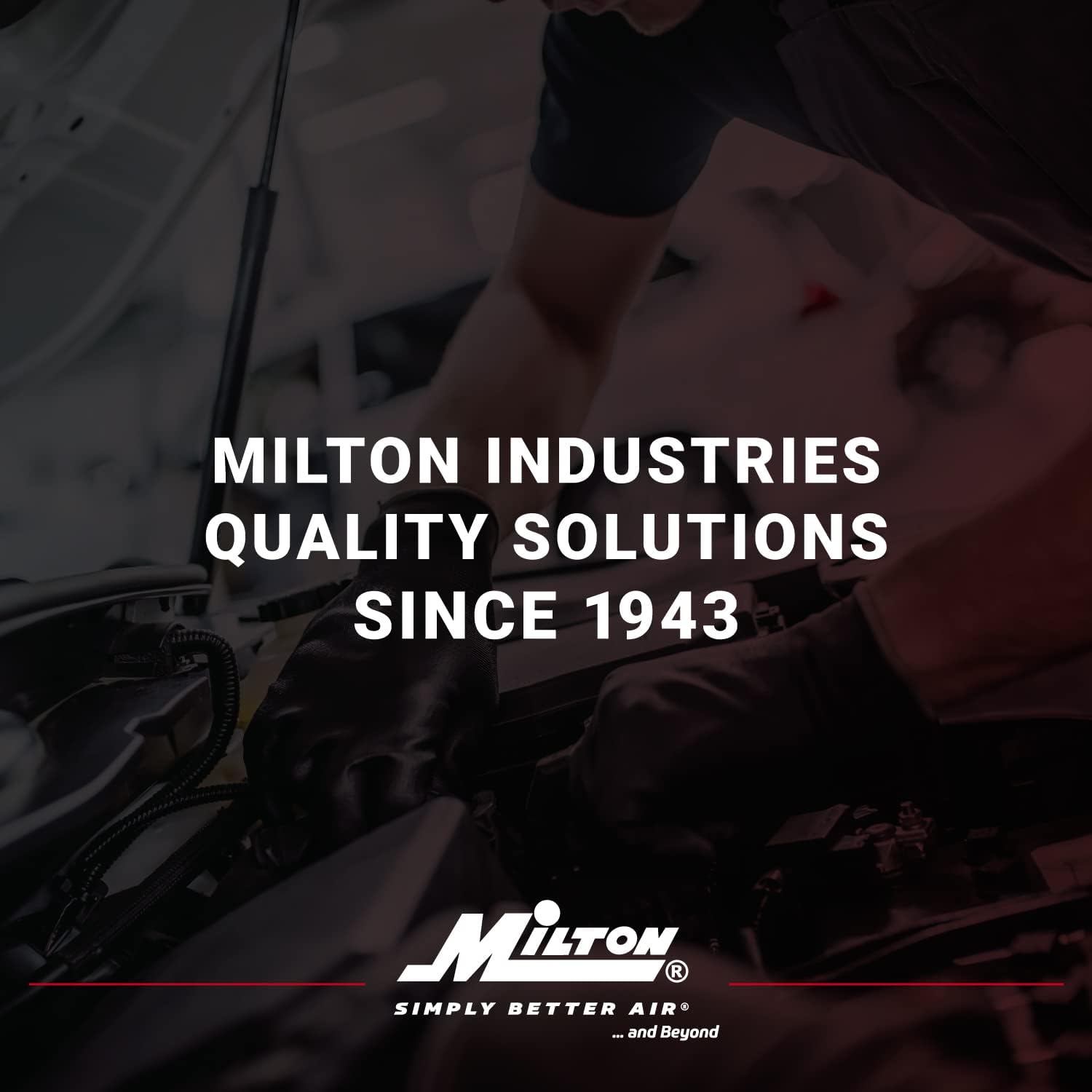 Milton Industries S-684 1/8" NPT Tank Valve, 2/Cd