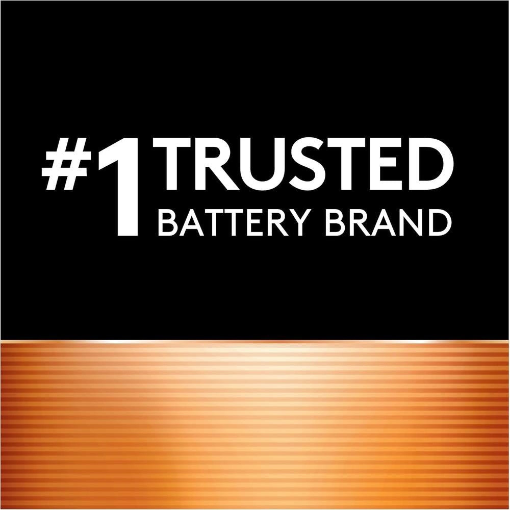 Duracell MN1400B2Z Coppertop C Alkaline Batteries 1.5 Volt (2 Pack)