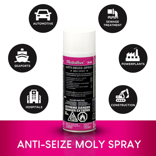 Ameta Solution 70-82 ANTI-SEIZE MOLY SPRAY 400 ML  [13.52 FL.OZ.]