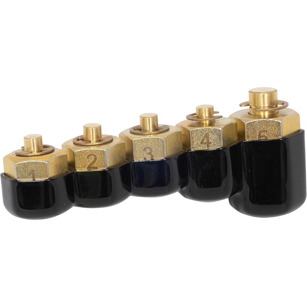 Lisle 10810 Ensemble de bouchons de conduite de carburant pour rail d'injecteur, 5 pièces