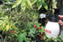 Solo 418 One-Hand Pressure Sprayer. 1-Liter. Ergonomic Grip for Gardening. Fertilizing. Cleaning & General Use Spraying