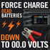 Clore Automotive PL2140 Solar 6/12 Volt 4.0 Amp PRO-LOGIX Battery Maintainer