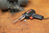 Weller D650PK 120 Volt Dual-Soldering Gun Kits