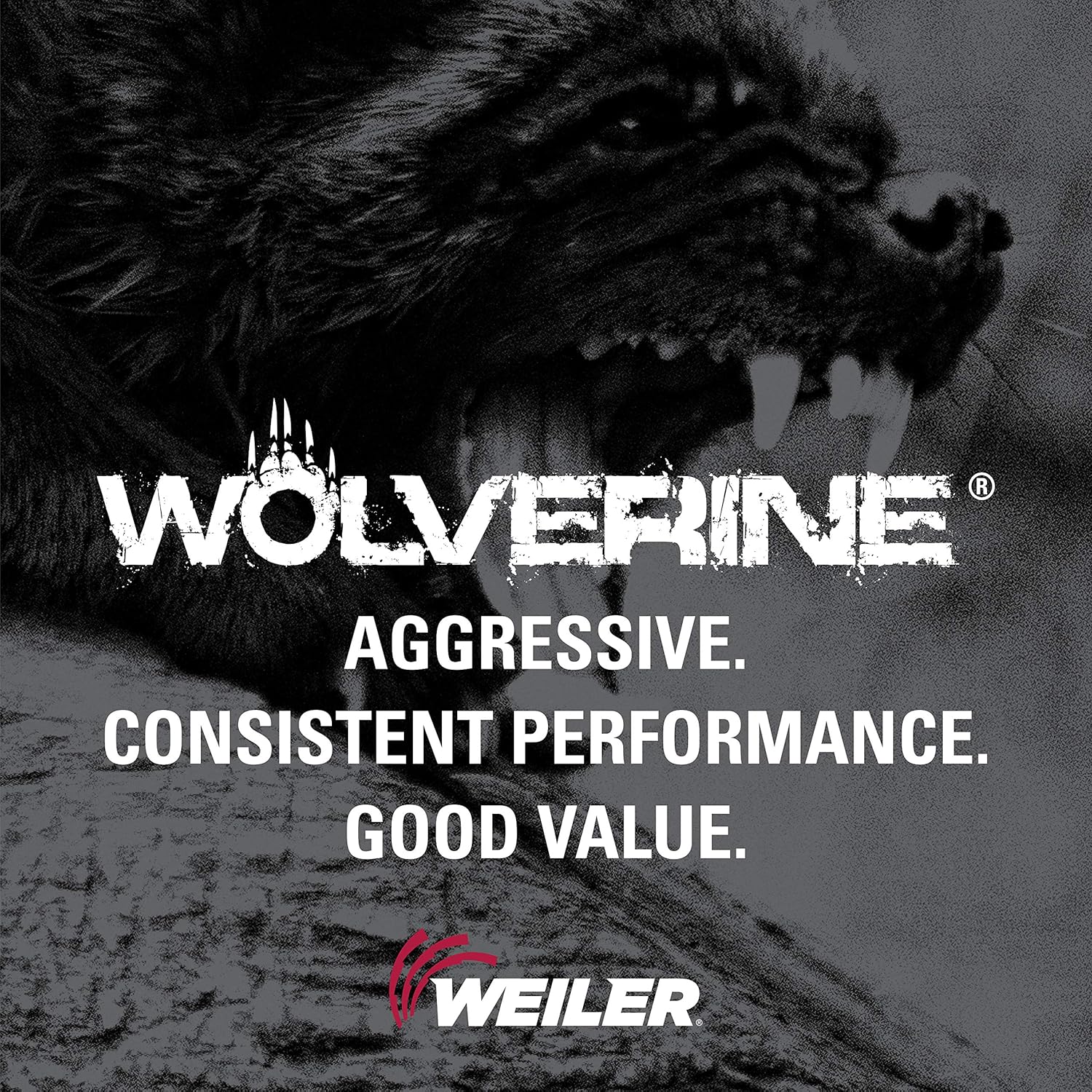 Weiler 56281 4-1/2" X .045" Wolverine Type 1 Cut-Off Wheel, A60T, 7/8" A.H. (Pack of 25)