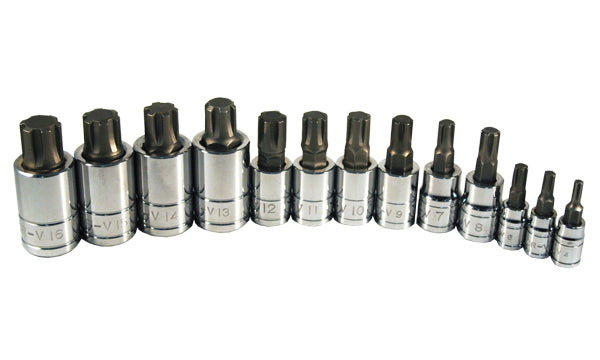 ATD Tools 13780 13Pc Ribe Bit Socket Set - all 13 chrome sockets laid out in size order