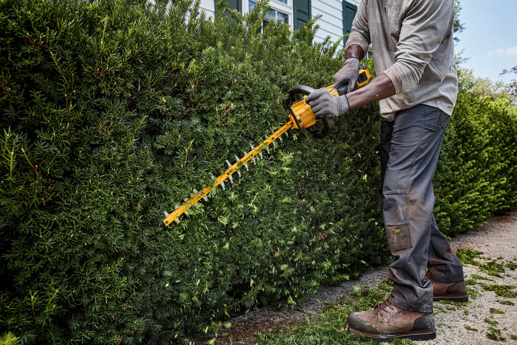 User trimming tall hedges with Dewalt DCHT870B 60V MAX Cordless Hedge Trimmer outdoors