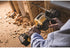 Dewalt DCD460T2 FLEXVOLT 60V MAX* VSR Stud and Joist Drill Kit with E-CLUTCH® System