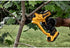 Dewalt DCPR320B 20V Max 1-1/2" Cut Capacity Cordless Pruner (Bare Tool)