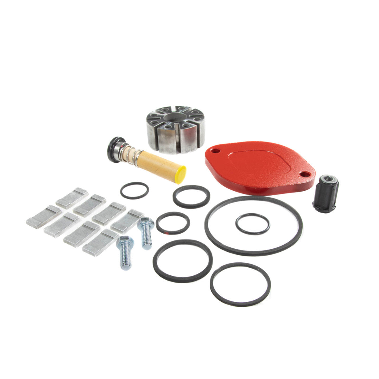 Fill-Rite 700KTF2659 Rebuild Kit For FR700B And FR700V Series Pumps. Contains All Seals And Gaskets, Rotor Cover, Rotor Cover Bolts, Rotor, Rotor Key, Carbon Vanes (8), And Bypass Valve. - MPR Tools & Equipment