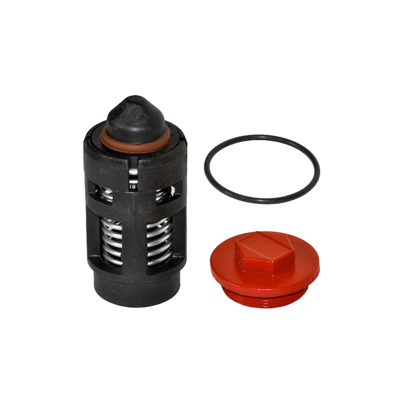 Fill-Rite KIT300BV Bypass Valve Kit for 300 Series Pumps. Contains Bypass Cap, Bypass Cap O-Ring, and Bypass Valve Assembly. - MPR Tools & Equipment