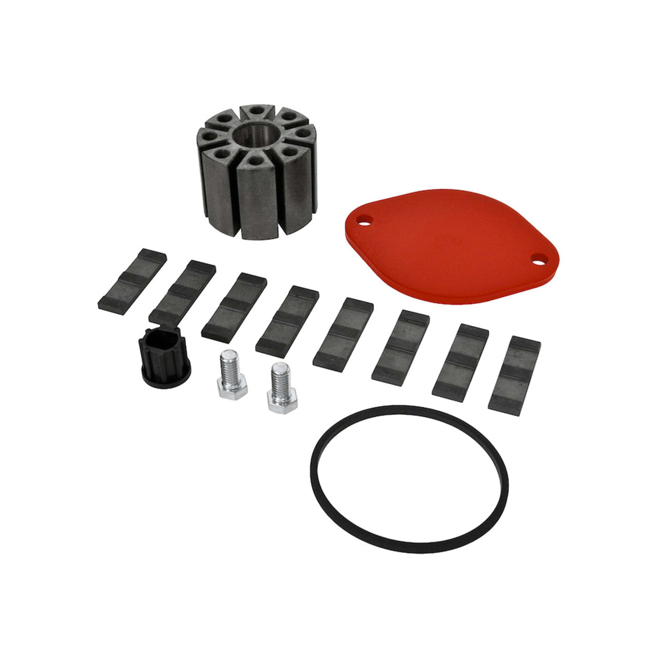 Fill-Rite KIT300RG Rotor Group Kit for 300 Series Pumps. Contains Rotor Cover, Rotor Cover Gasket, Rotor Cover Bolts (2), Rotor, Rotor Insert, and Carbon Vanes (8). - MPR Tools & Equipment