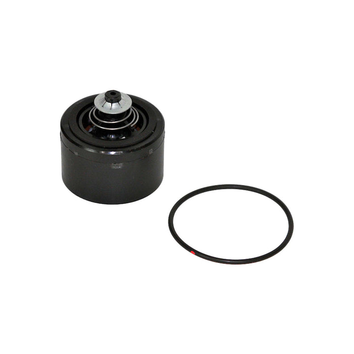 Fill-Rite KIT700CV Check Valve Kit for 700 Series Pumps. Contains the