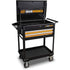 GearWrench 83167 CART TL 2DRW