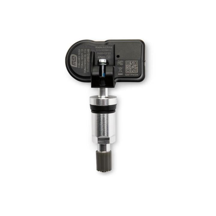 GearWrench GWTPMSM20PK Universal Programmable Metal TPMS Sensor (20-Pack)