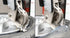 Coats Maxx 90 Tire Changer 800MAXX90220 product detail
