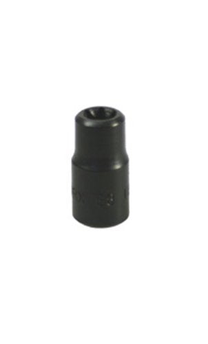 Lisle 26800 1/4" Drive External Torx Socket E-8 - MPR Tools & Equipment