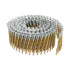 Metabo HPT 13365HHPT 2 in. x 0.092 in. 15 Degree Wire Coil Ring Shank Siding Nails (3,600 Pack)