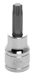 Performance Tools PTW38840 Star Bit Socket 3/8" T40 - MPR Tools & Equipment