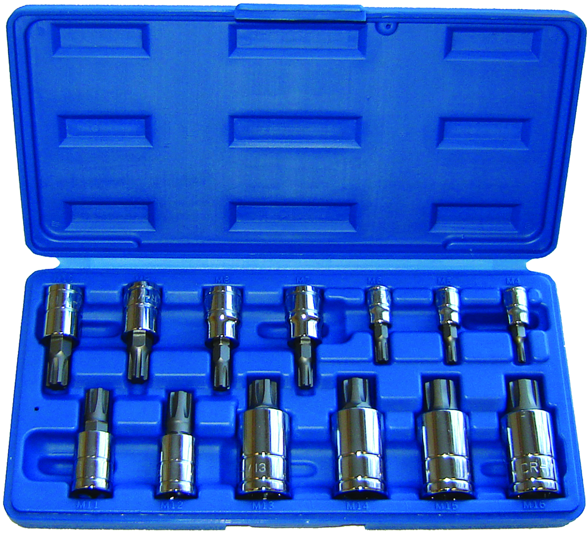 Rodac RDSKR13 Skt/Bit Ribe C-S2 13 Pces 1/4" - MPR Tools & Equipment