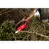 Milwaukee Tool 2534-20 M12 Brushless Pruning Shears side profile view