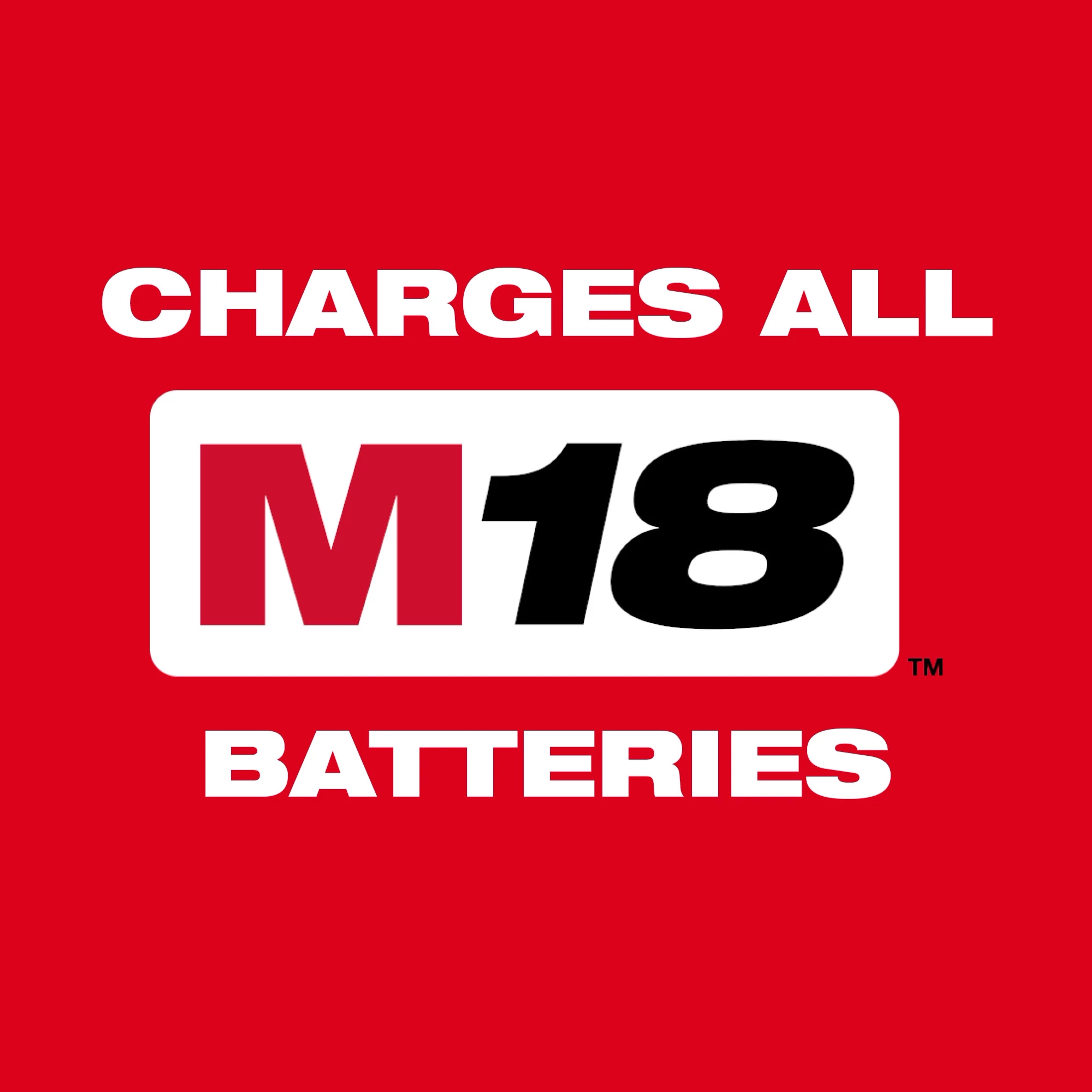 Milwaukee Tool 48-59-1816 M18 Dual Bay Simultaneous Super Charger