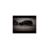 Martins Industries MFJ-PL2T Long Reach Floor Jacks positioned in front of a black SUV in a garage